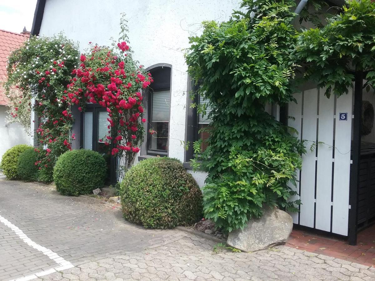 Altstadt-Apartment Petershagen Buitenkant foto